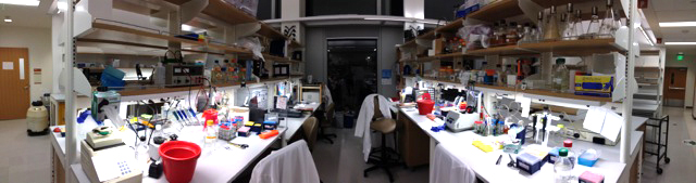 lab panorama 2