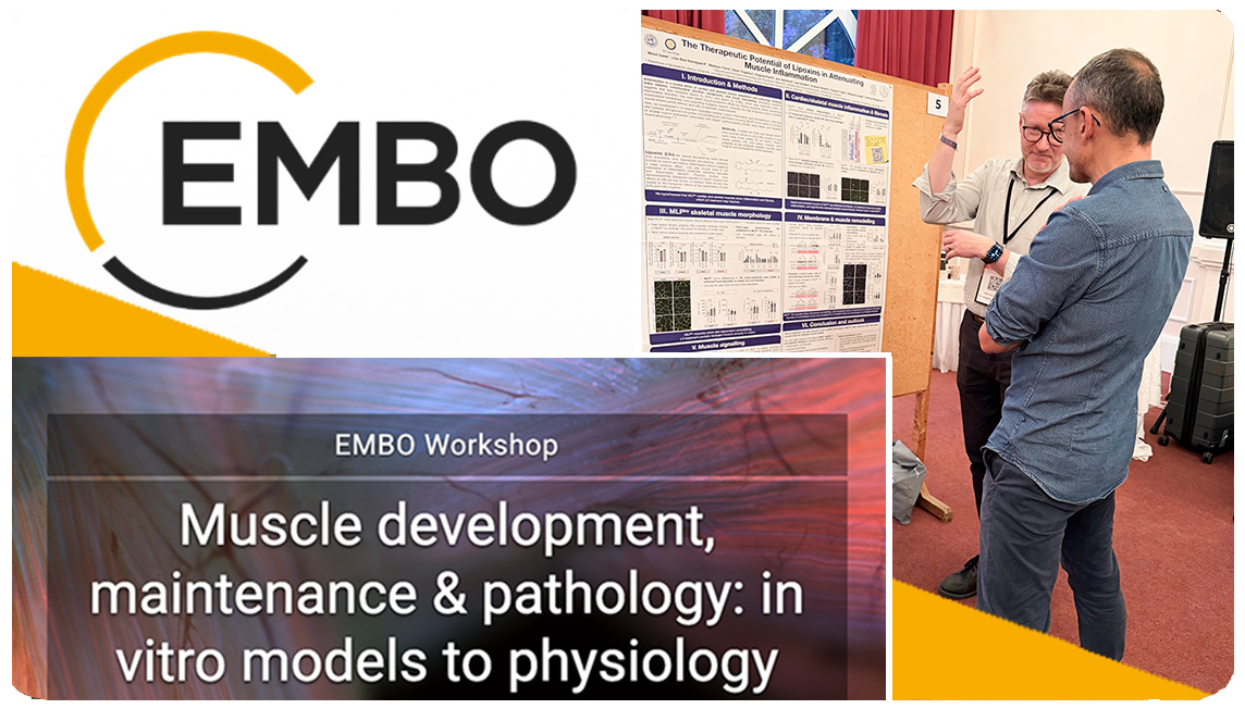 2026 EMBO Workshop